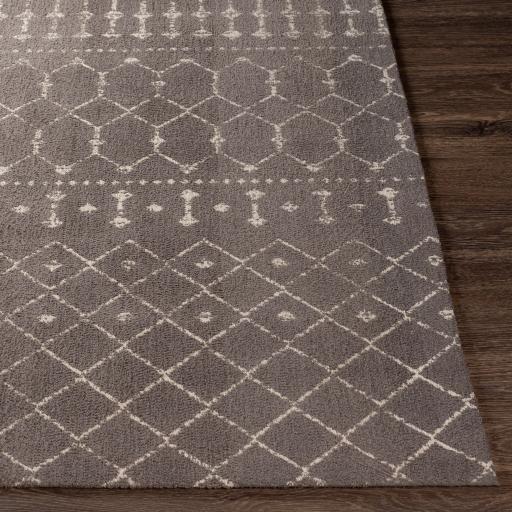 Surya Amsterdam AMS-1026 Charcoal Cream 8' x 10' Rug
