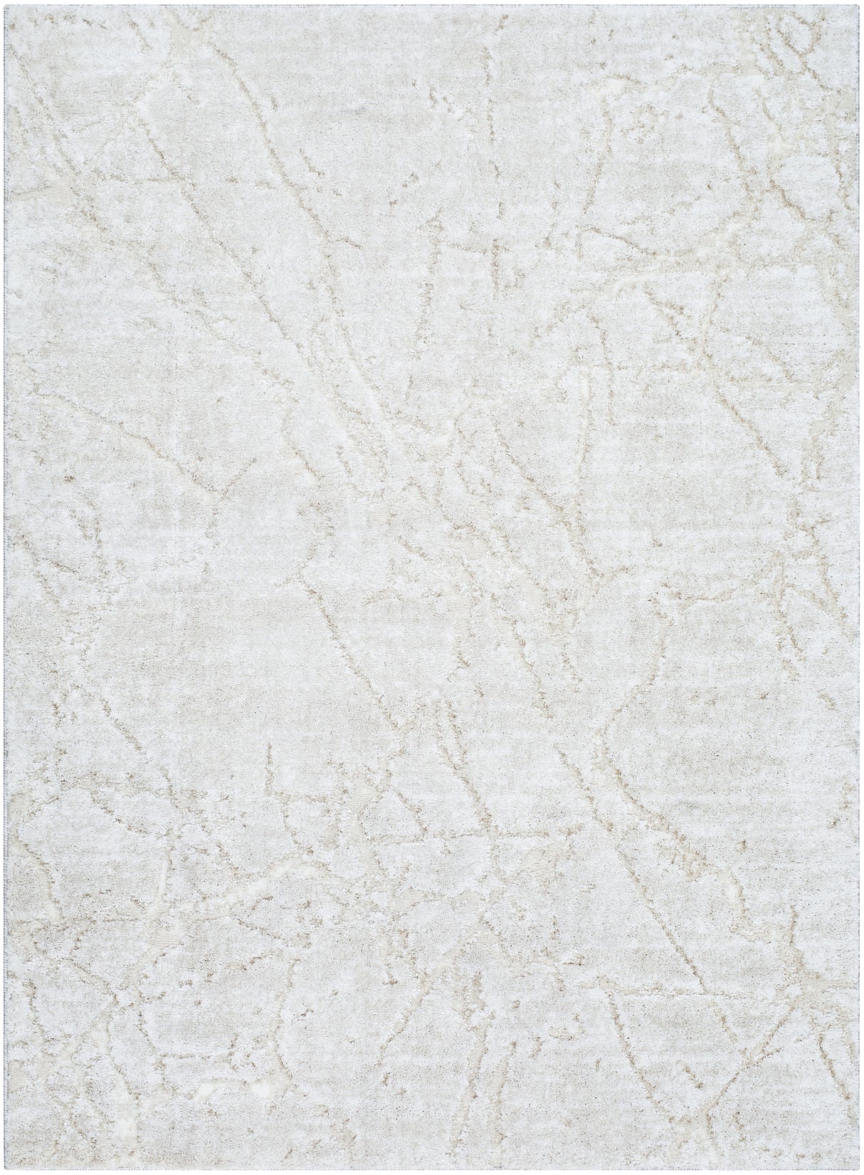 Surya Andorra Plus ARP-2312 2' x 2'11" Rug