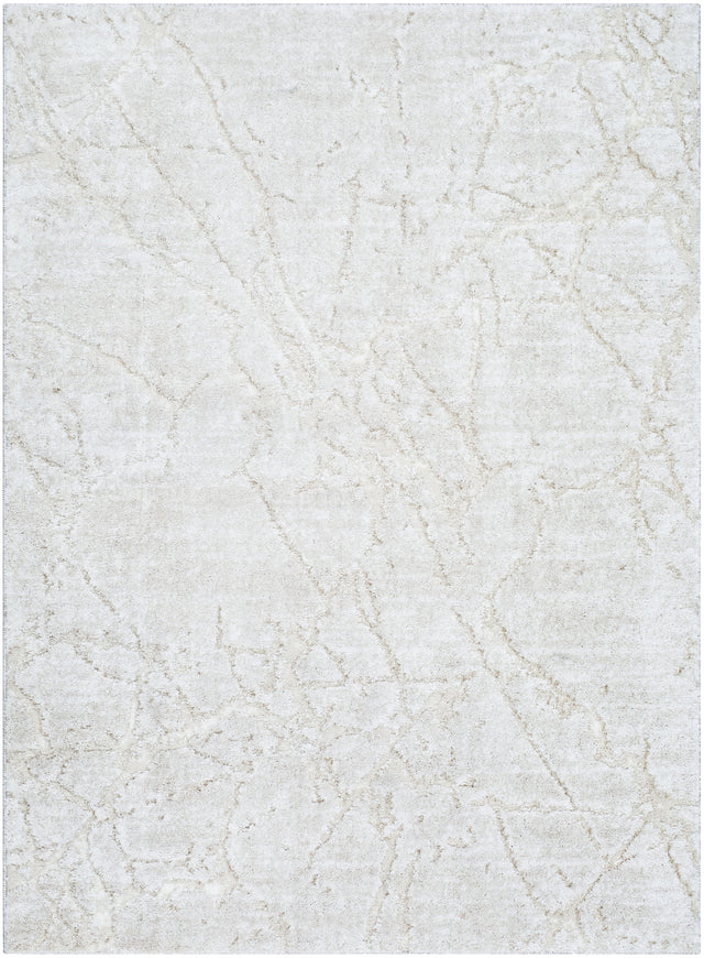 Surya Andorra Plus ARP-2312 2' x 2'11" Rug