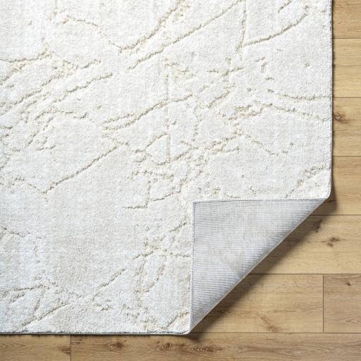 Surya Andorra Plus ARP-2312 7'10" x 10' Rug