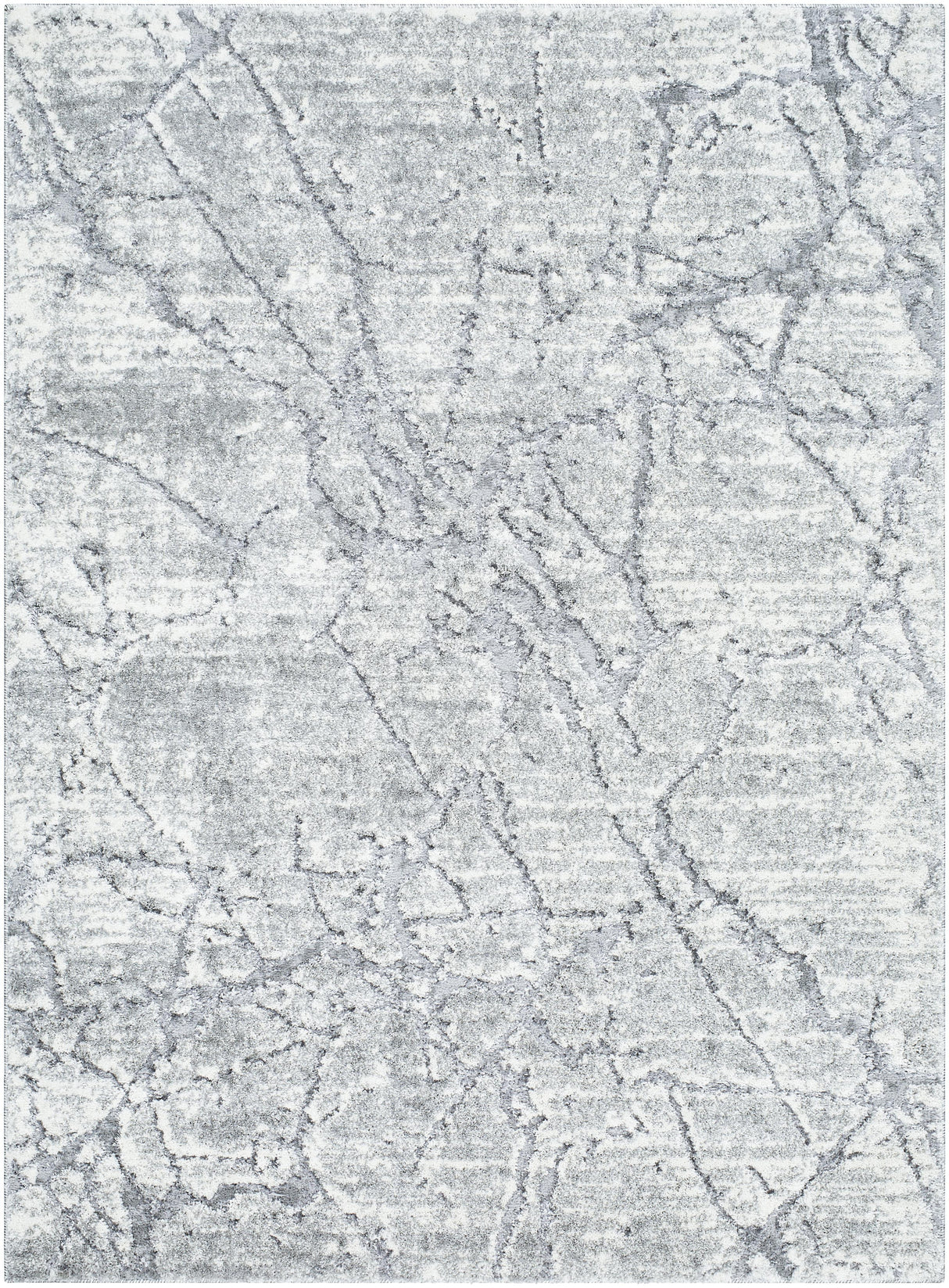 Surya Andorra Plus ARP-2313 5'3" x 7'3" Rug