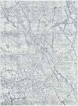 Surya Andorra Plus ARP-2313 5'3" x 7'3" Rug