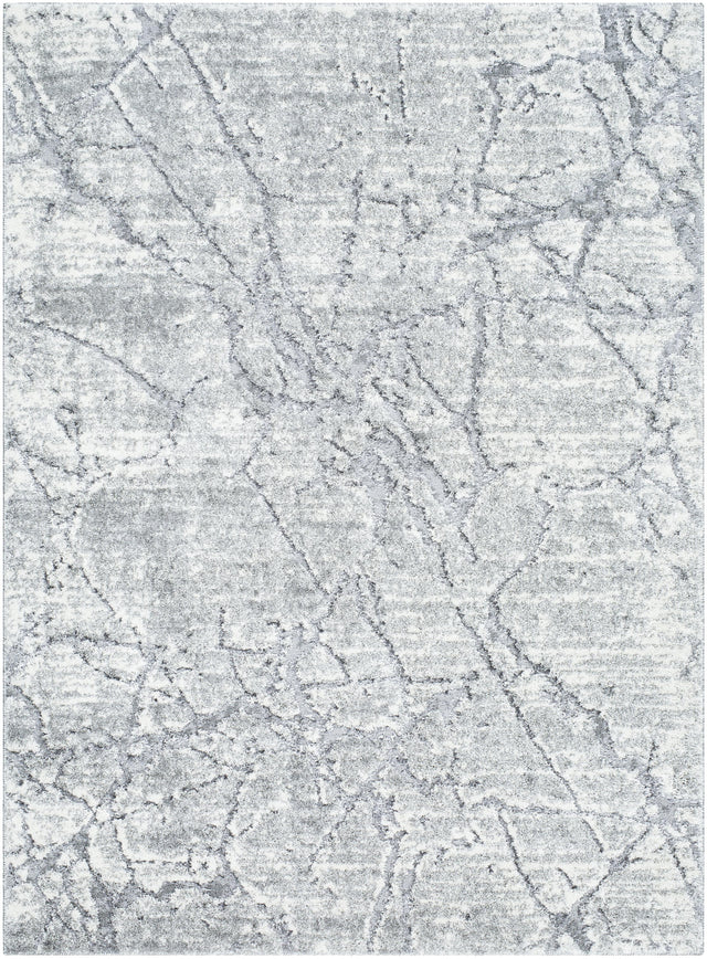 Surya Andorra Plus ARP-2313 7'10" x 10' Rug
