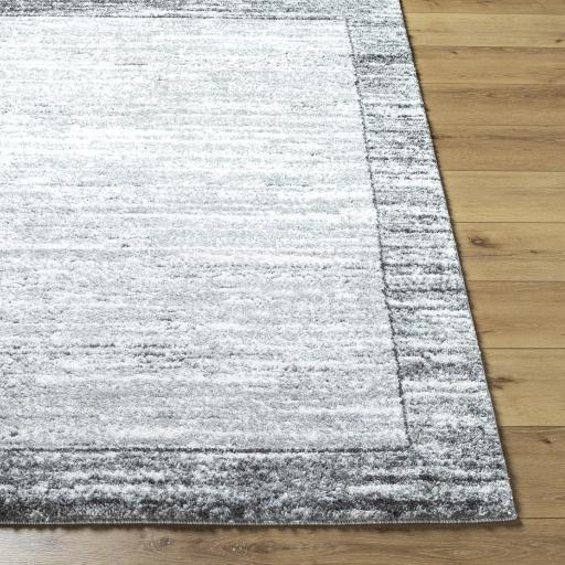 Surya Andorra Plus ARP-2314 Charcoal Cream 2' x 2'11" Rug
