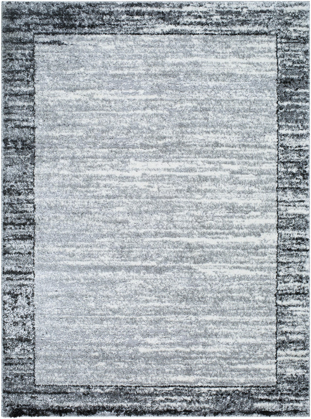 Surya Andorra Plus ARP-2314 7'10" x 10' Rug