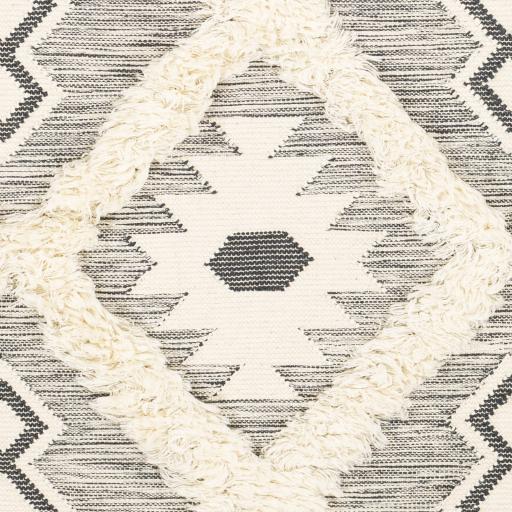 Surya Apache APA-2305 2' x 3' Rug
