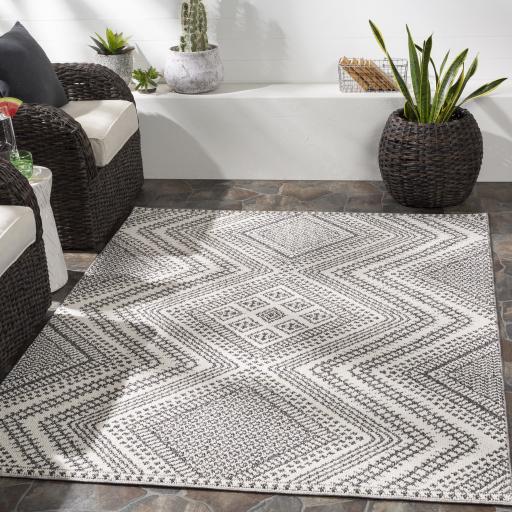 Surya Ariana RIA-2302 2'3" x 3'9" Rug