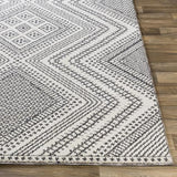 Surya Ariana RIA-2302 Black Gray 2'3" x 3'9" Rug