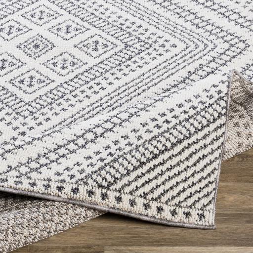 Surya Ariana RIA-2302 2'3" x 3'9" Rug