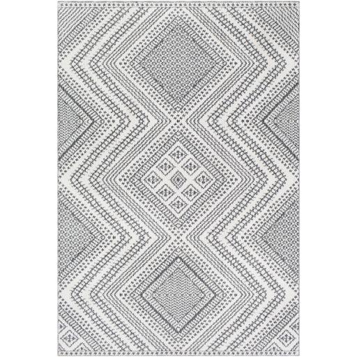 Surya Ariana RIA-2302 2'3" x 3'9" Rug