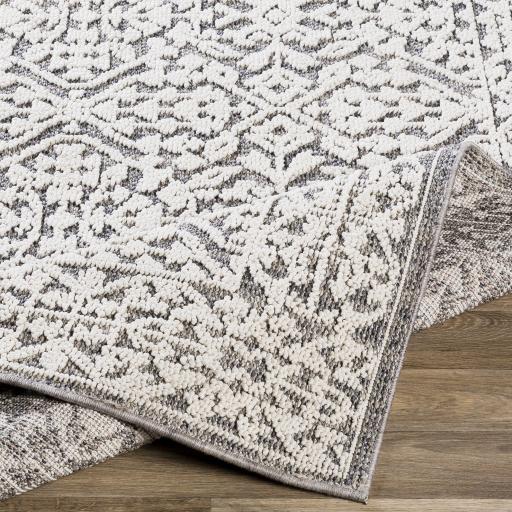 Surya Ariana RIA-2303 2' x 3' Rug
