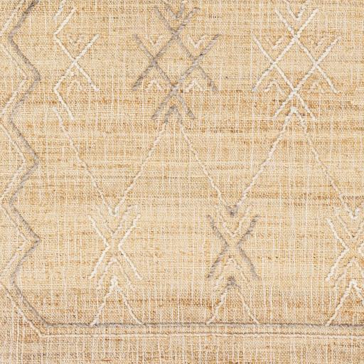 Surya Arielle ARE-2302 Beige Gray 2' x 3' Rug