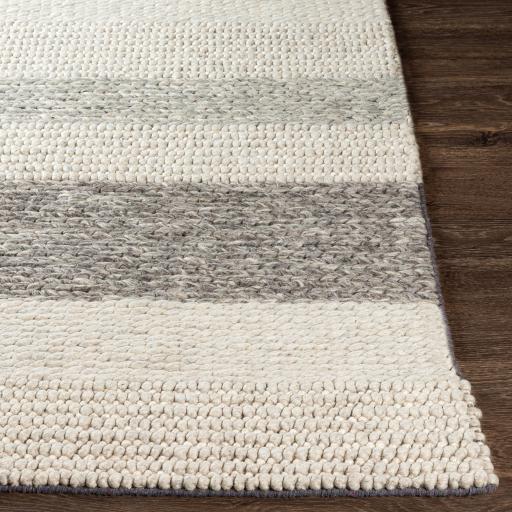 Surya Asos ASS-2300 Charcoal Light Gray 8'10" x 12' Rug