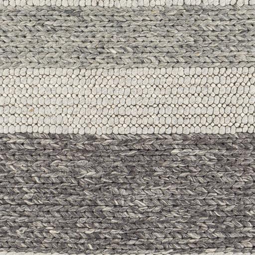Surya Asos ASS-2300 8'10" x 12' Rug