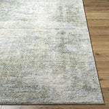 Surya Avellino AVL-2328 2' x 2'11" Rug