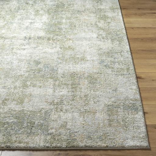 Surya Avellino AVL-2336 2' x 2'11" Rug