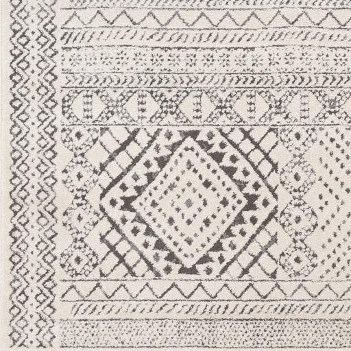 Surya Bahar BHR-2327 2' x 2'11" Rug