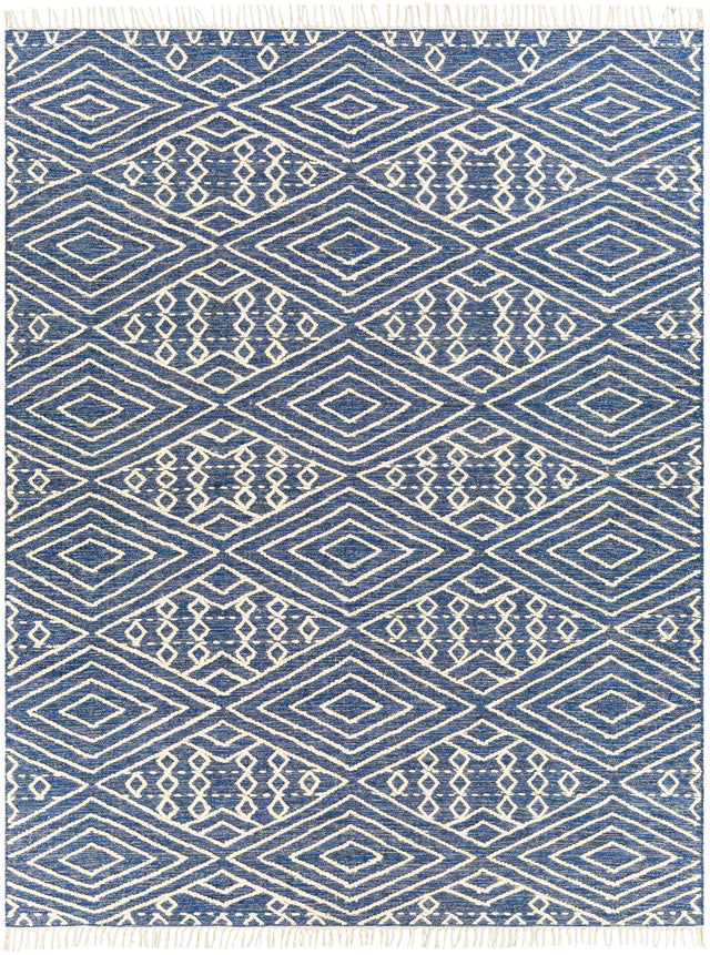 Surya Bedouin BDO-2309 2' x 3' Rug