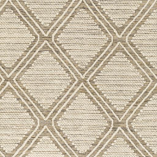 Surya Bedouin BDO-2316 2' x 3' Rug