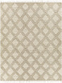 Surya Bedouin BDO-2316 6' x 9' Rug