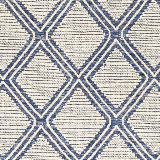 Surya Bedouin BDO-2317 2' x 3' Rug