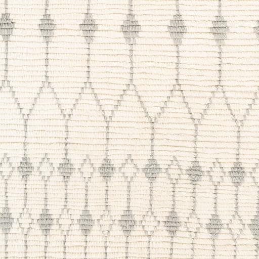 Surya Beni Ourain BON-2300 2' x 3' Rug