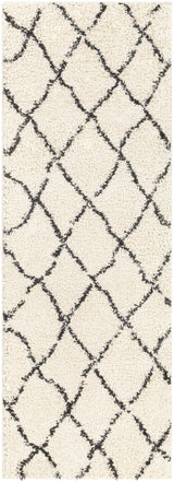 Surya Beni Shag BSH-2312 2'7" x 7'3" Rug