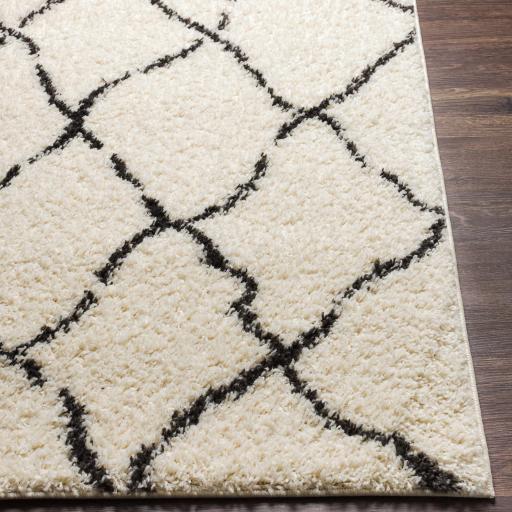 Surya Beni Shag BSH-2312 2'7" x 7'3" Rug