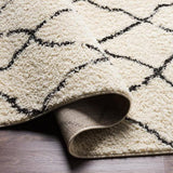 Surya Beni Shag BSH-2312 2'7" x 7'3" Rug