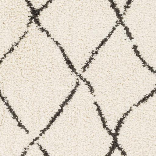 Surya Beni Shag BSH-2312 2'7" x 7'3" Rug