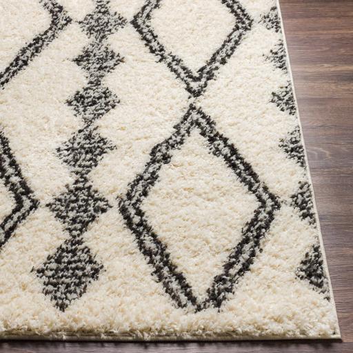 Surya Beni Shag BSH-2318 7'10" x 10' Rug