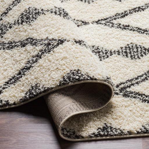 Surya Beni Shag BSH-2318 7'10" x 10' Rug