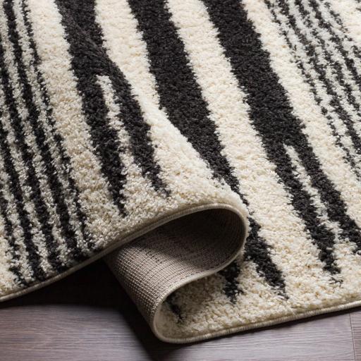 Surya Beni Shag BSH-2322 5'3" x 7' Rug