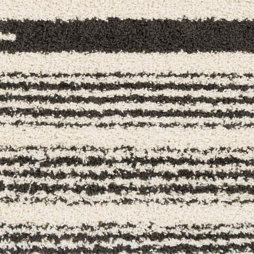 Surya Beni Shag BSH-2322 5'3" x 7' Rug