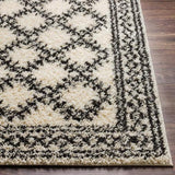 Surya Beni Shag BSH-2328 5'3" x 7' Rug
