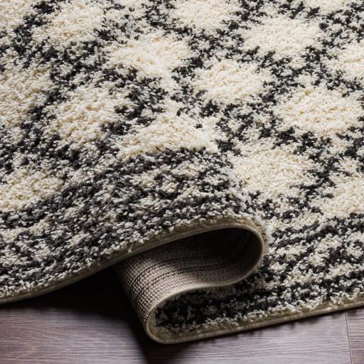 Surya Beni Shag BSH-2328 5'3" x 7' Rug