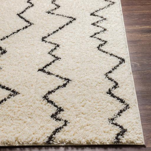 Surya Beni Shag BSH-2329 2'7" x 7'3" Rug