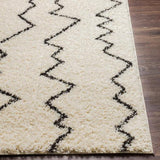Surya Beni Shag BSH-2329 2'7" x 7'3" Rug