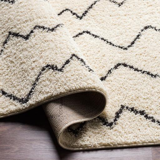 Surya Beni Shag BSH-2329 2'7" x 7'3" Rug