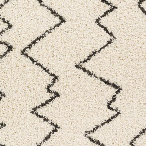 Surya Beni Shag BSH-2329 2'7" x 7'3" Rug