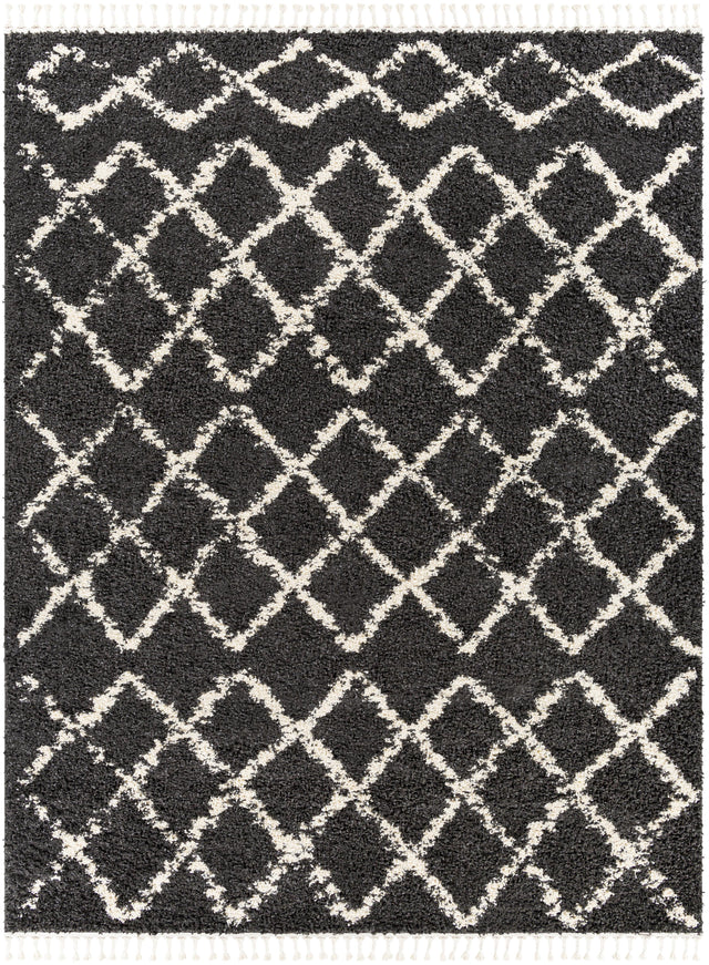 Surya Berber Shag BBE-2307 2'7" x 7'3" Rug