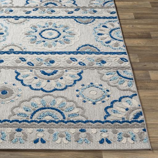 Surya Big Sur BSR-2305 Aqua Blue 5'3" x 7'3" Rug