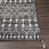 Surya Birch BHC-2301 2' x 3' Rug