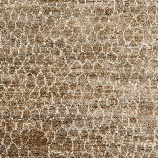 Surya Bjorn BJR-1012 Beige Black 3'3" x 5'3" Rug