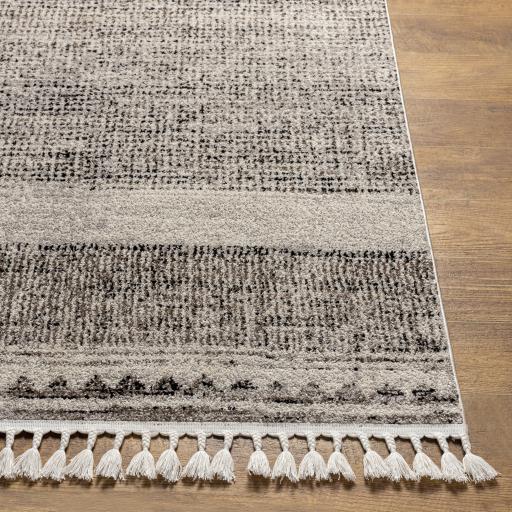 Surya Blackburn BBN-2306 2'7" x 7'3" Rug