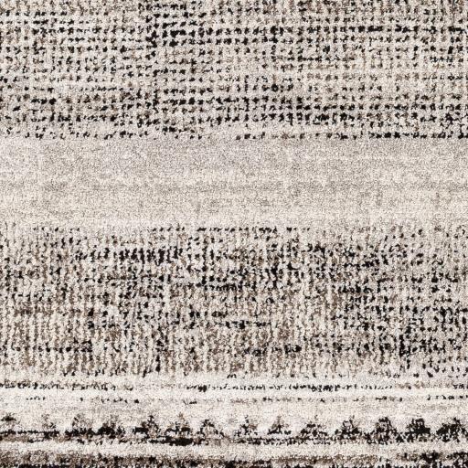 Surya Blackburn BBN-2306 2'7" x 7'3" Rug