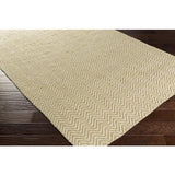Surya Boca BOC-1001 Light Beige Light Olive 3'3" x 5'3" Rug