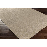 Surya Boca BOC-1004 Gray Light Beige 2' x 3' Rug