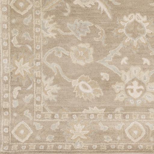 Surya Caesar CAE-1181 Brown Medium Gray 9'9" Round Rug