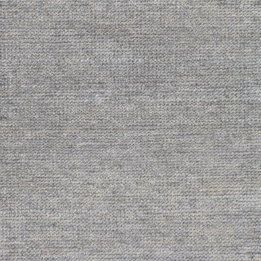 Surya Calm CAM-2300 2' x 3' Rug